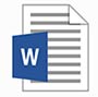 Word Doc